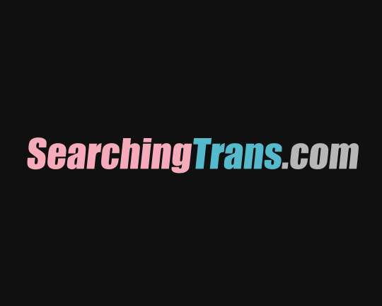 Searchingtrans.com Logo